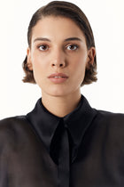 Black Blouse